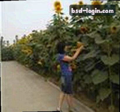 刘阳